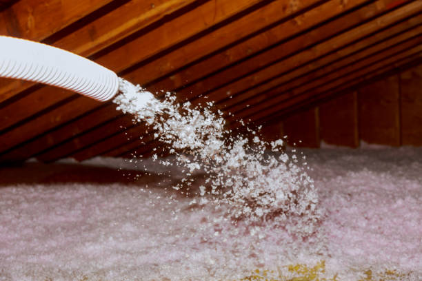Best Spray Foam Insulation  in Old Tappan, NJ